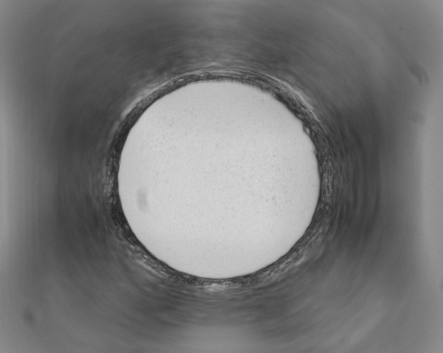 X0000110911160200907301535