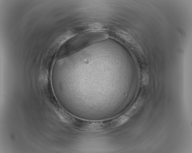 X0000110911161200907301535