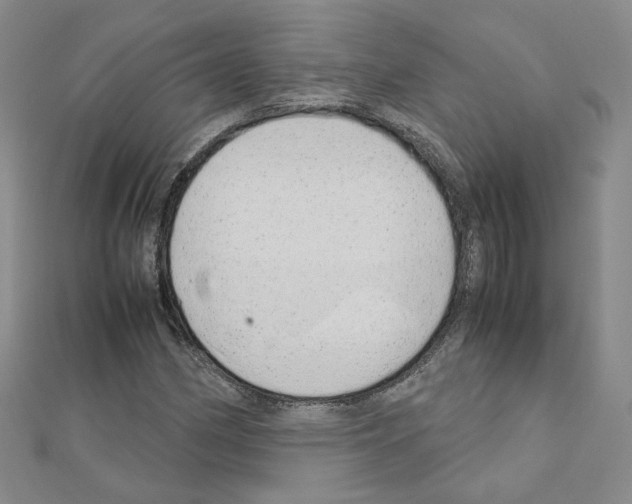 X0000110911162200907301535