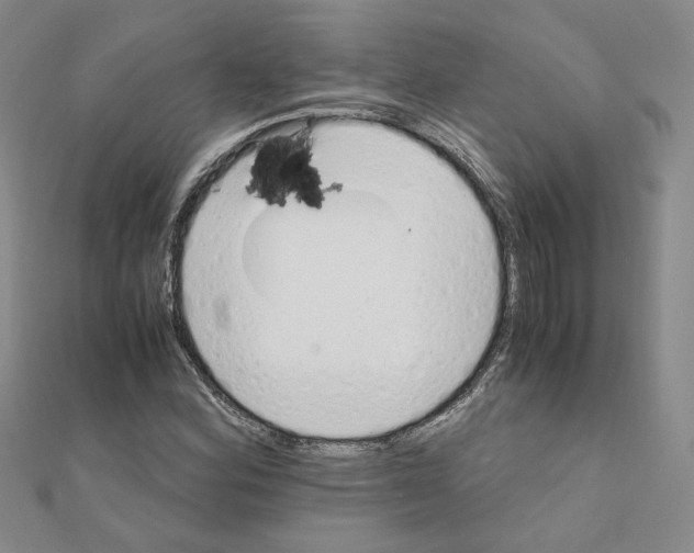 X0000110911164200907301535