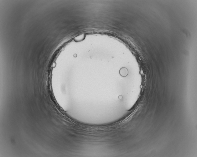 X0000110911165200907301535