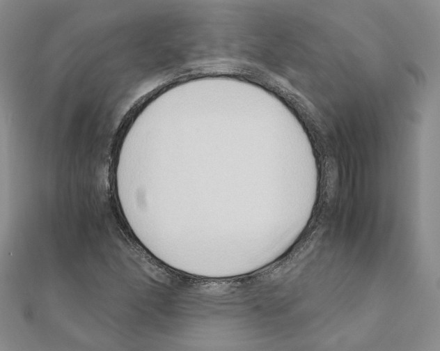 X0000110911166200907301535