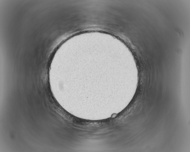 X0000110911167200907301535