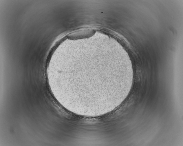 X0000110911168200907301535