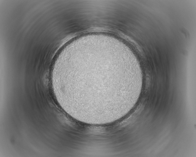 X0000110911170200907301535