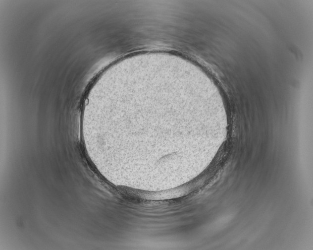 X0000110911171200907301535