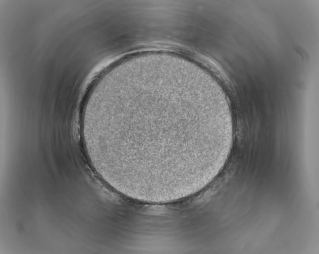 X0000110911172200907301535