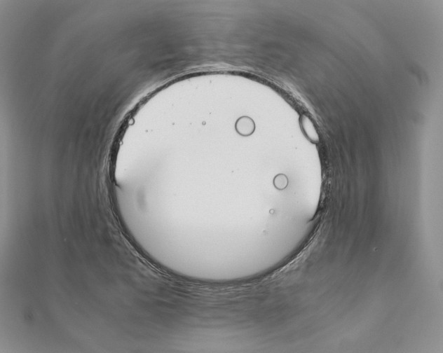 X0000110911173200907301535