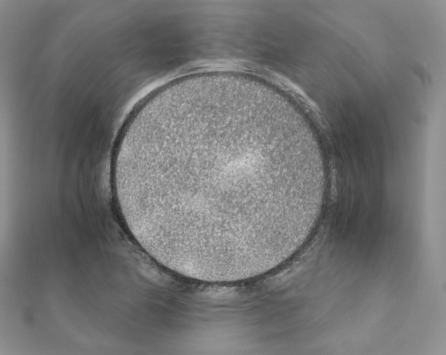 X0000110911174200907301535