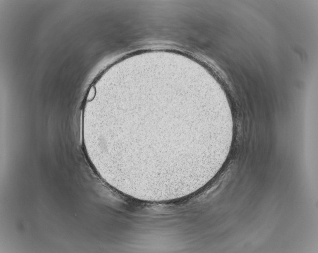 X0000110911175200907301535