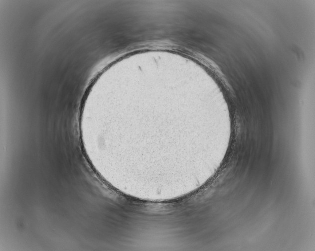 X0000110911176200907301535