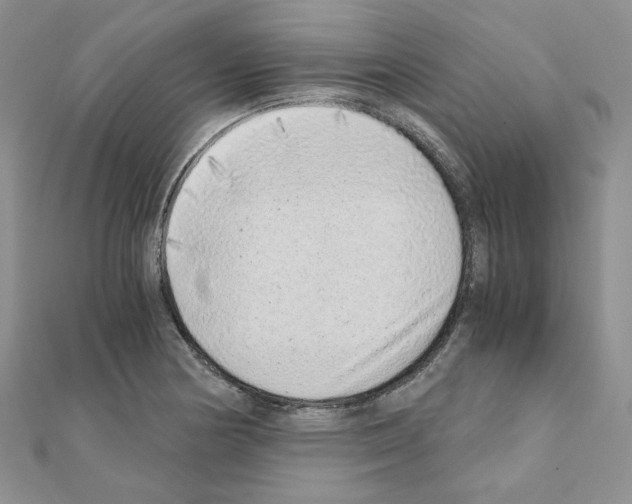 X0000110911178200907301535