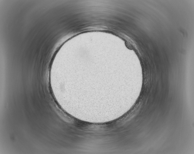 X0000110911179200907301535