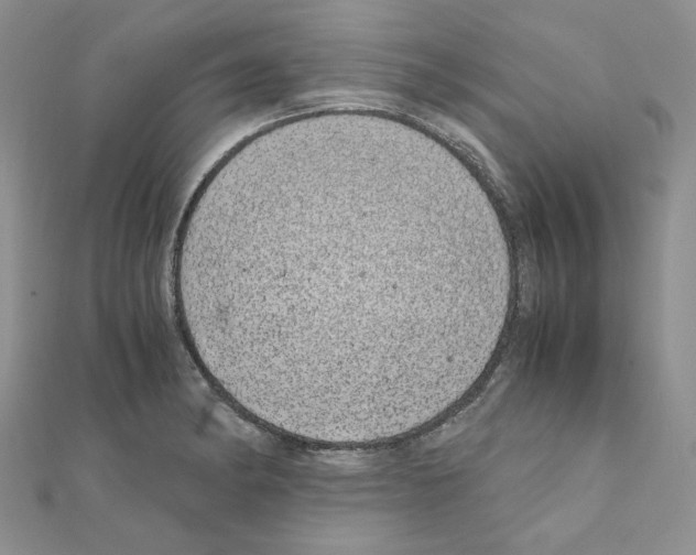 X0000110911182200907301535