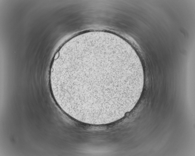 X0000110911183200907301535