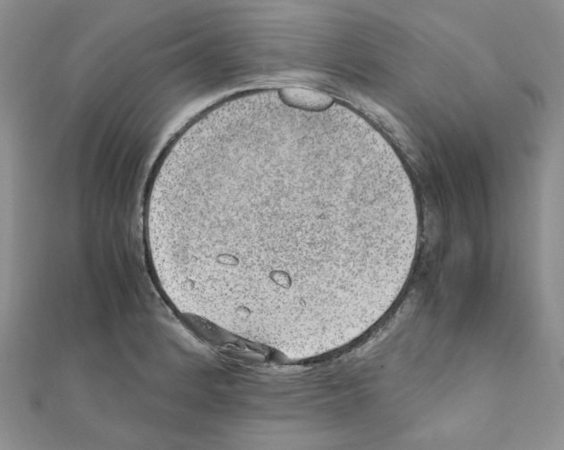 X0000110911184200907301535