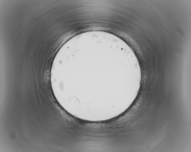 X0000110911185200907301535