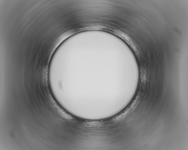 X0000110911186200907301535