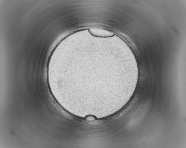 X0000110911188200907301535