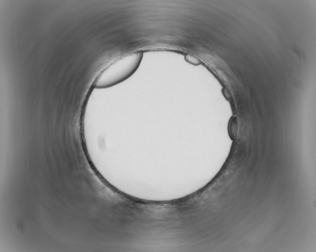 X0000110911189200907301535