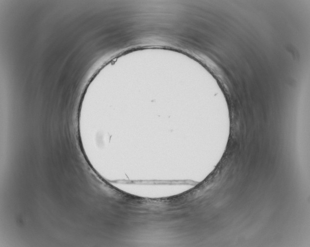 X0000110911191200907301535