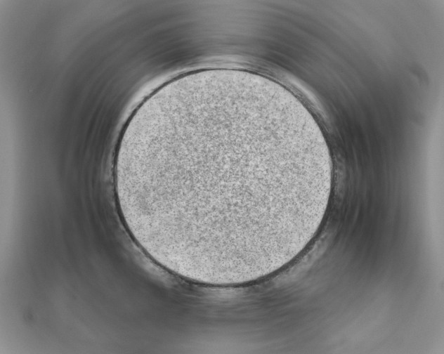 X0000110911192200907301535