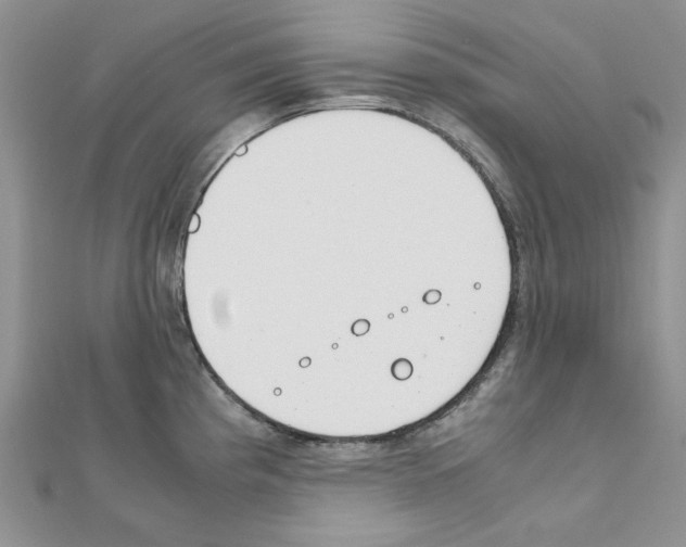 X0000110911193200907301535