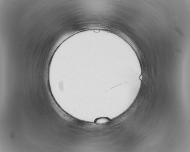 X0000110911195200907301535