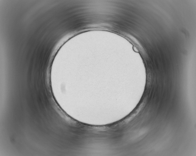 X0000110911196200907301535