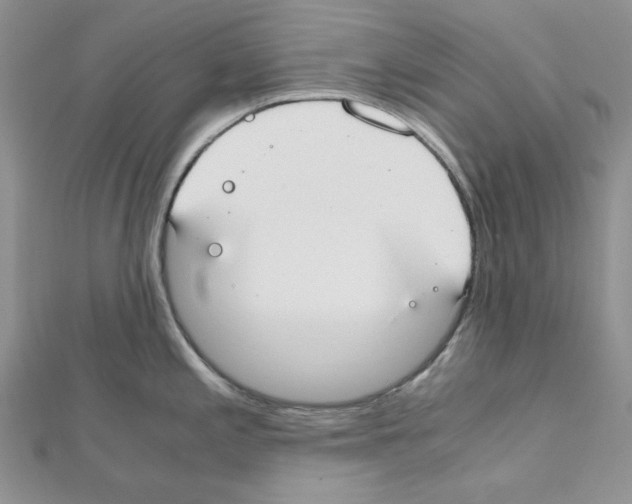 X0000110911197200907301535