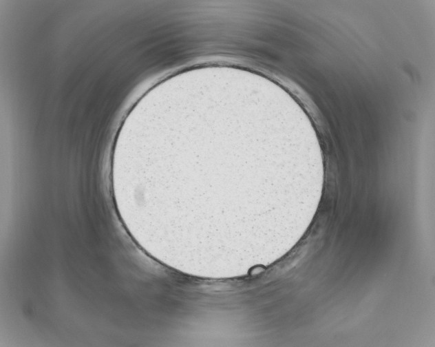 X0000110911199200907301535