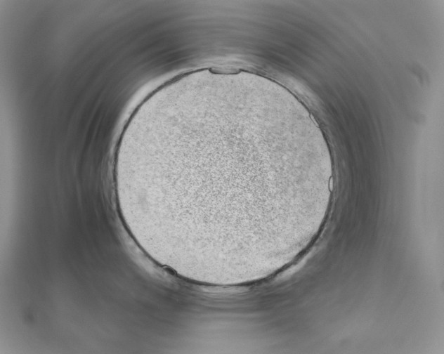 X0000110911200200907301535