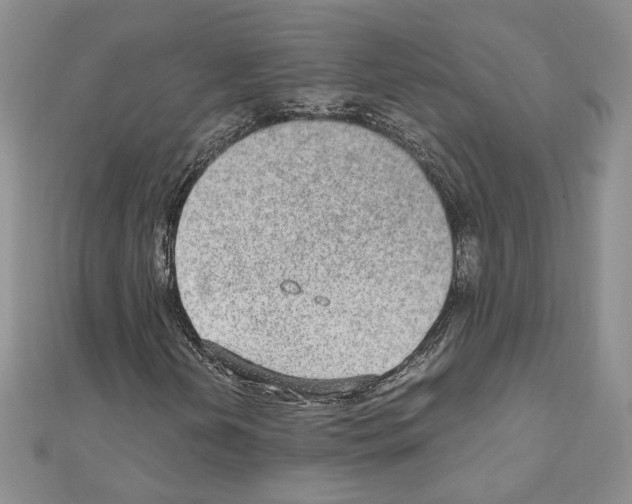 X0000110911202200907301534