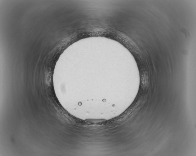 X0000110911204200907301534