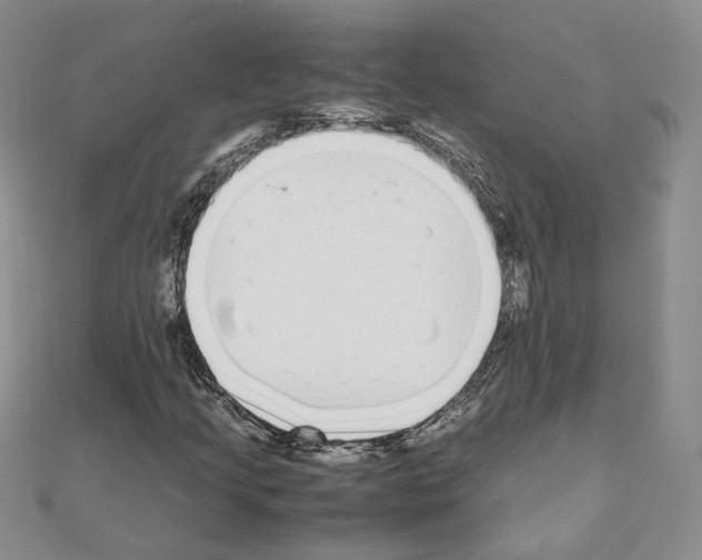 X0000110911205200907301534