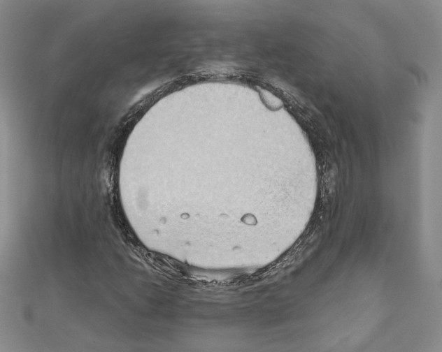 X0000110911206200907301534