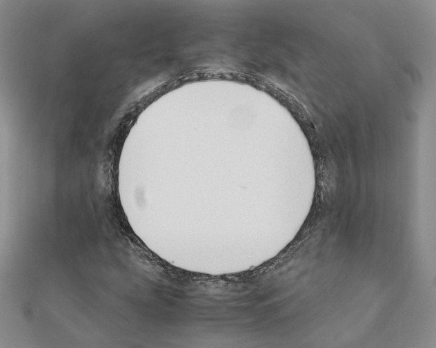 X0000110911207200907301534