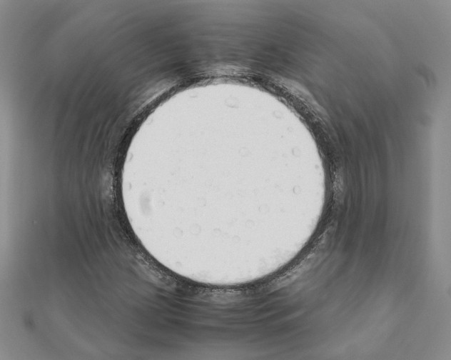 X0000110911209200907301534