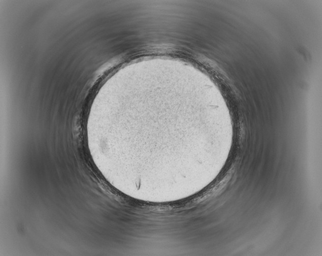 X0000110911210200907301534