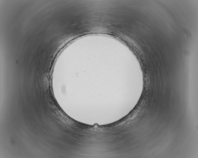 X0000110911212200907301534