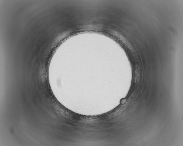 X0000110911213200907301534