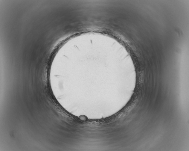 X0000110911214200907301534