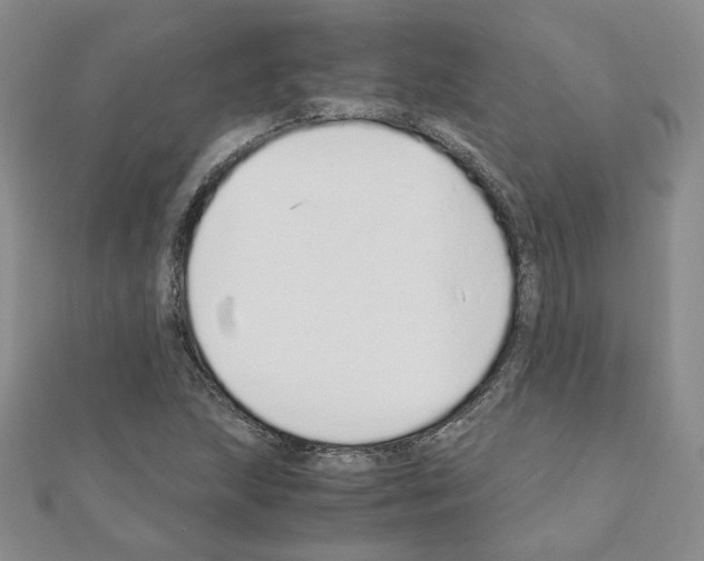 X0000110911215200907301534