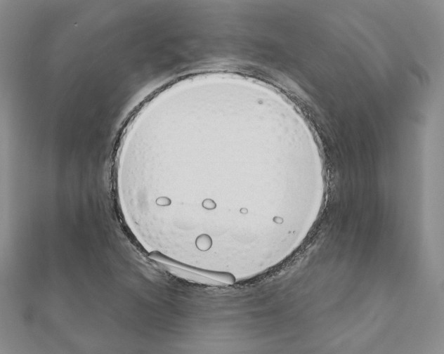 X0000110911216200907301534