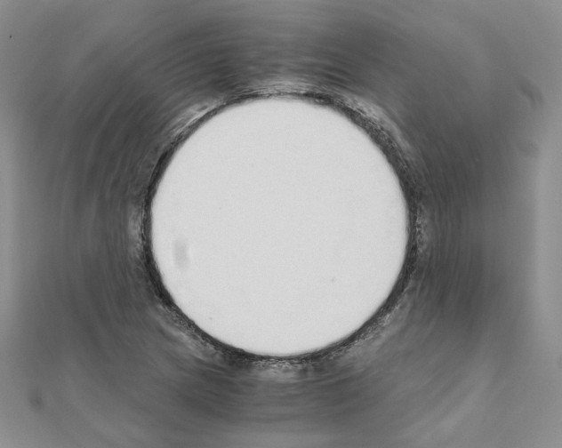 X0000110911217200907301534