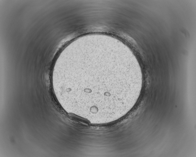 X0000110911218200907301534