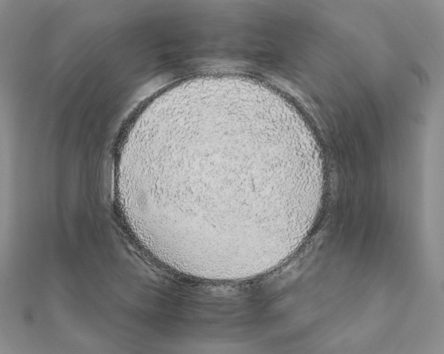 X0000110911219200907301534