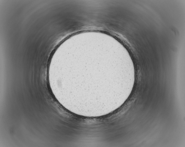 X0000110911220200907301534