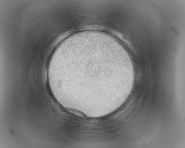 X0000110911221200907301534