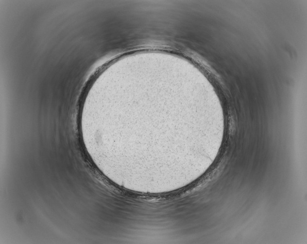 X0000110911222200907301534